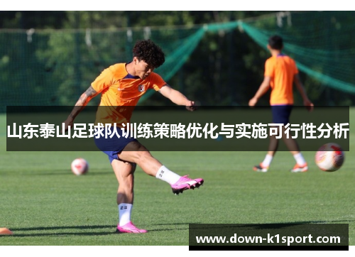 山东泰山足球队训练策略优化与实施可行性分析